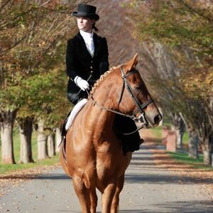 XS black velvet sidesaddle habit